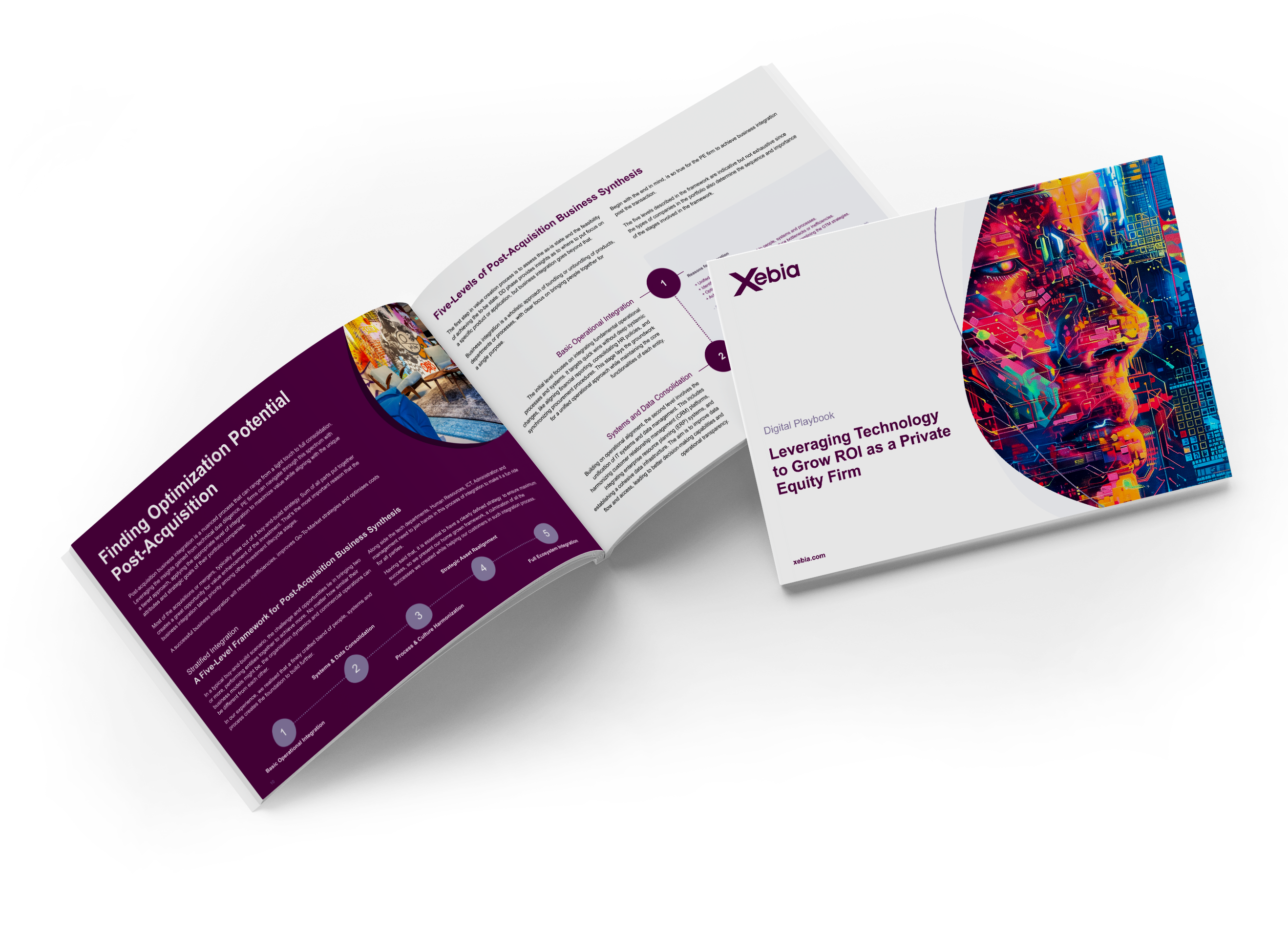 PE whitepaper mock up 1