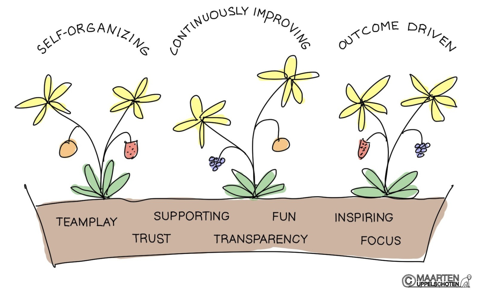 Agile Soil