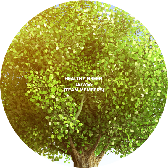 Xebia Tree V5-03.png