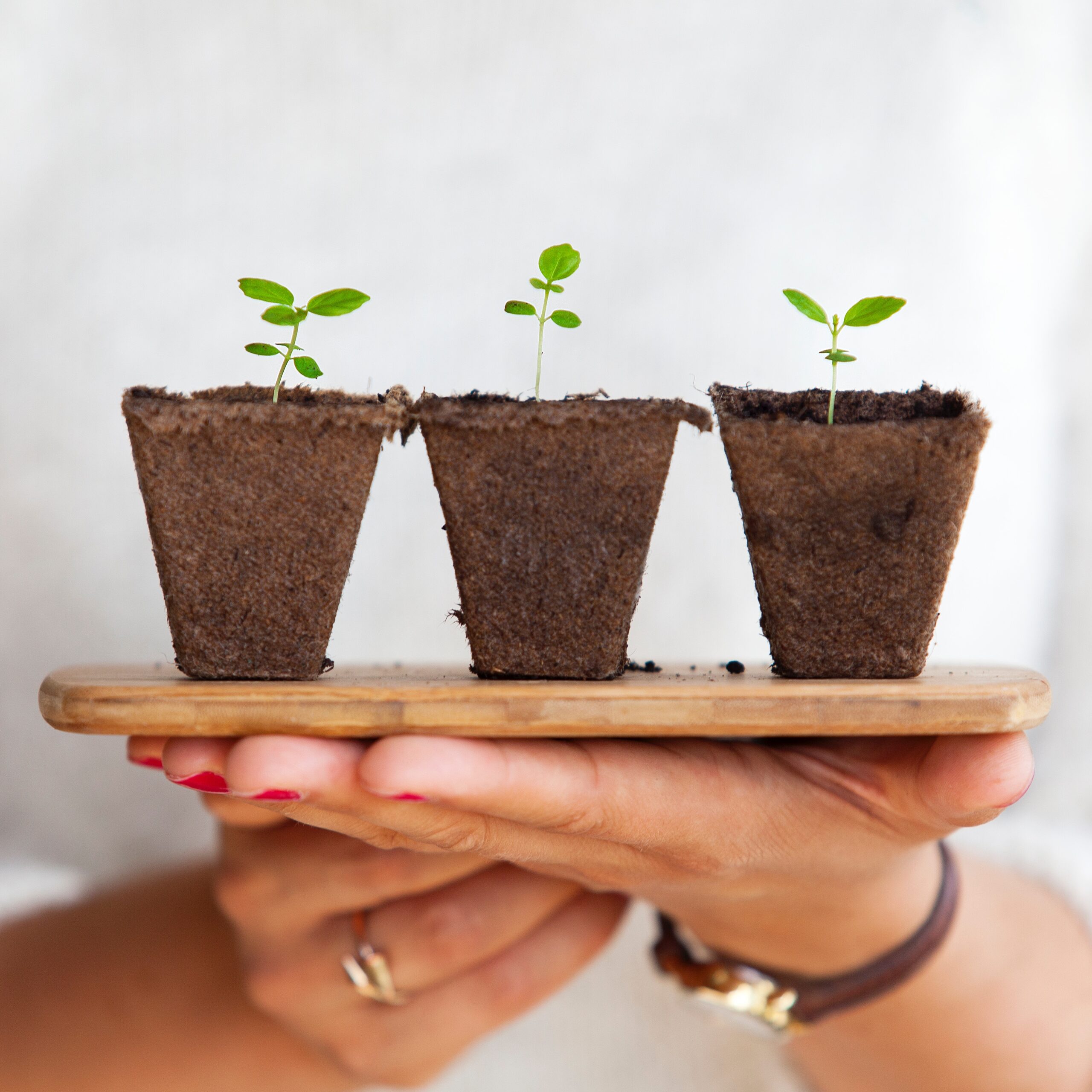 You can compare the change triangle model to a farming analogy: