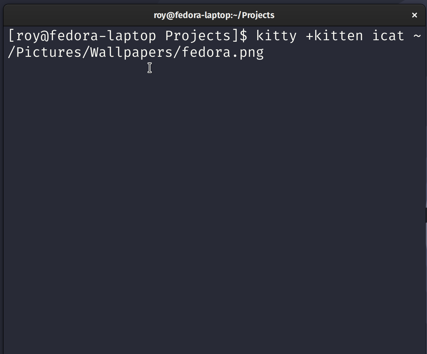 Using a kitten to render an image in the terminal