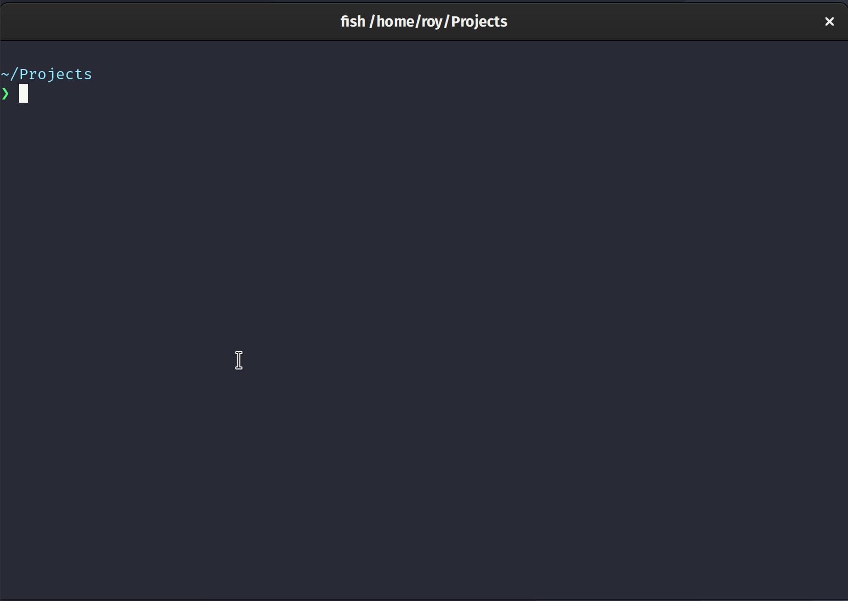 Demonstrating the starship prompt