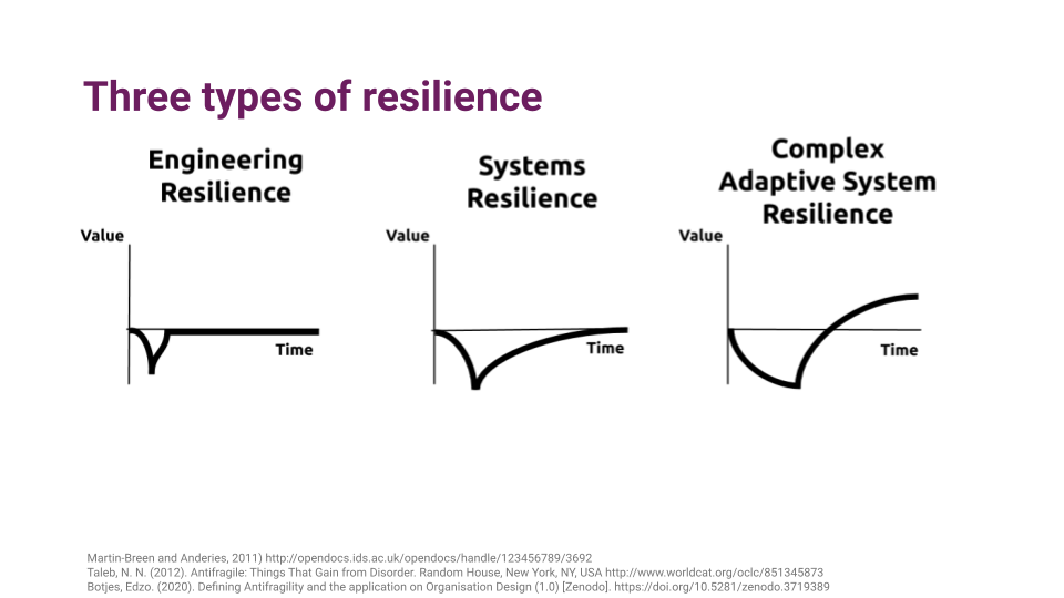 Figure 3 - Three types of resilience by Martin-Breen 2021 and Botjes 2020