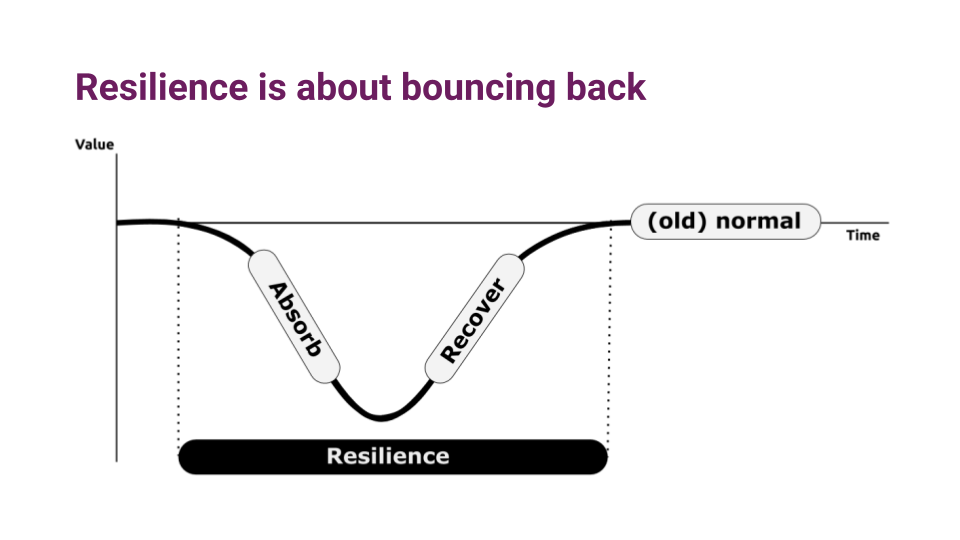 Figure 1 - generic definition of resilience from Botjes 2020