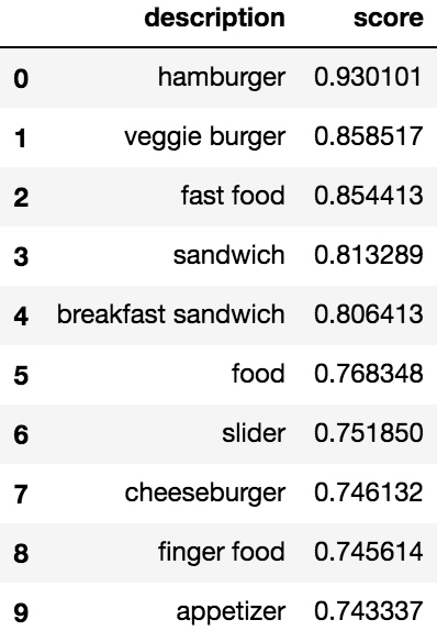 Output of Google Vision API for example image