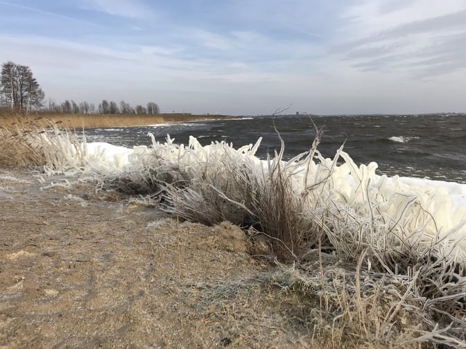 ice