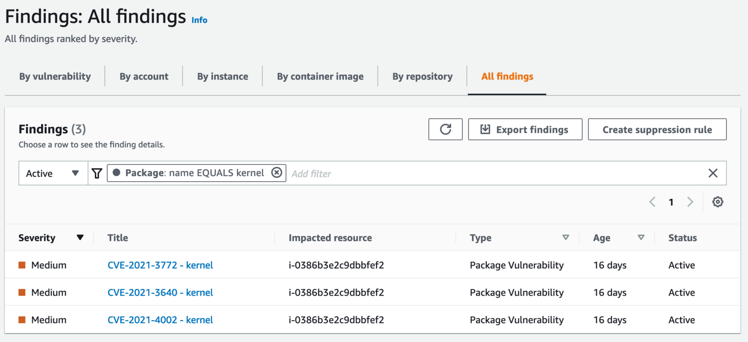 Inspector CVE View