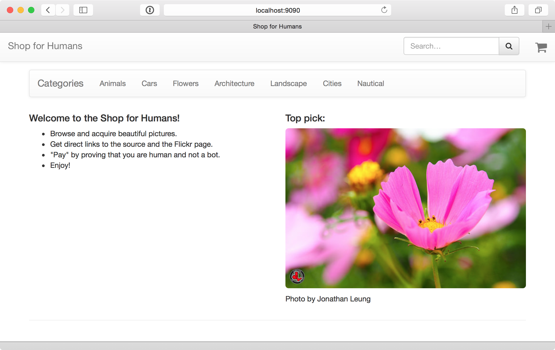shop-homepage.png