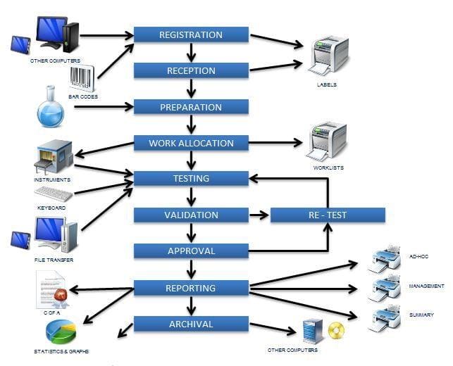 specimen testing process