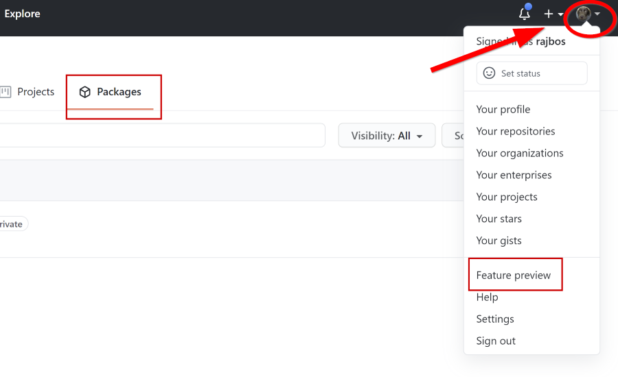 Location to find the preview settings
