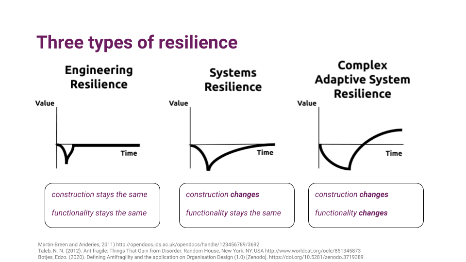 Figure 4 - Three types of resilience and their freedom in regard to their function and construction by Martin-Breen 2021 and Botjes 2020.