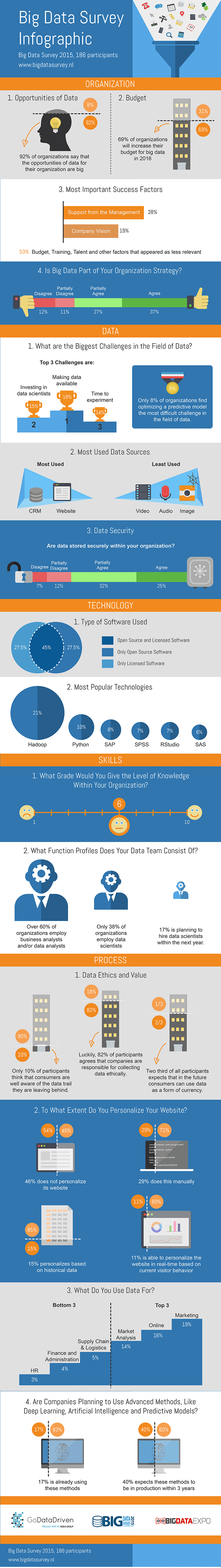 Infographic Big Data Survey