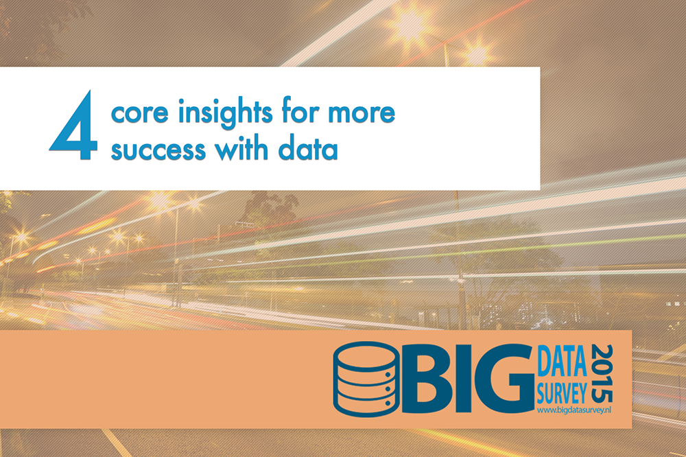 Four core insights from Big Data Survey