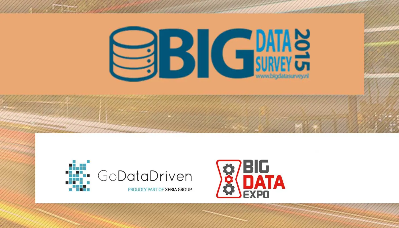Big Data Survey Infographic - header image